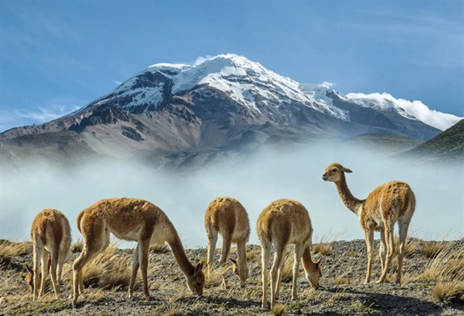 Équateur et Galápagos